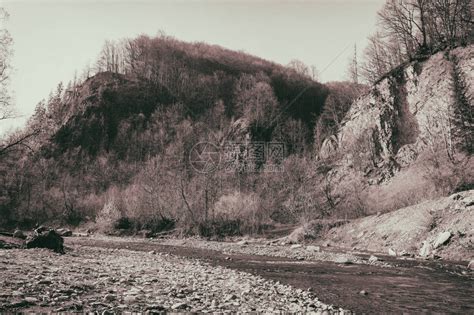 纯净的山河在树林中流淌高清图片下载-正版图片505639047-摄图网