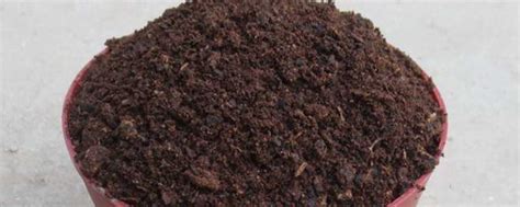 腐殖土一立方多少吨 腐殖土可以直接种植物吗-营养土批发网