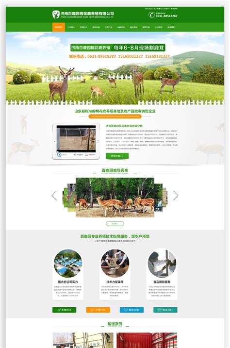生态农场养殖活动宣传海报素材设计图__海报设计_广告设计_设计图库_昵图网nipic.com