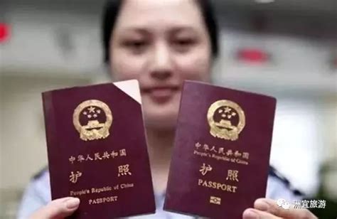因公护照 DS160上面的passport type选什么-百度经验