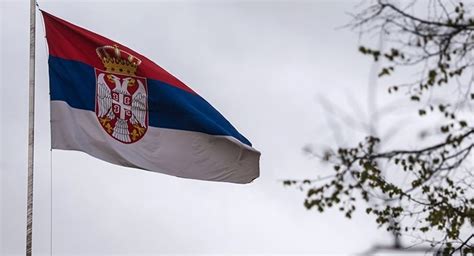 塞尔维亚政治学家称北约扩张是一种挑衅 - 知乎