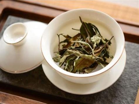 云南白茶与生普洱茶的功效与作用_普洱茶_绿茶说