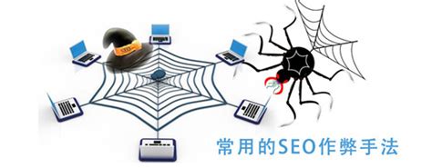 黑帽SEO蜘蛛池工作原理，什么是蜘蛛池程序？-中国木业网