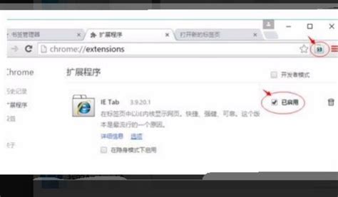 ie内核浏览器排行_2010非IE内核浏览器支持率排行榜_中国排行网