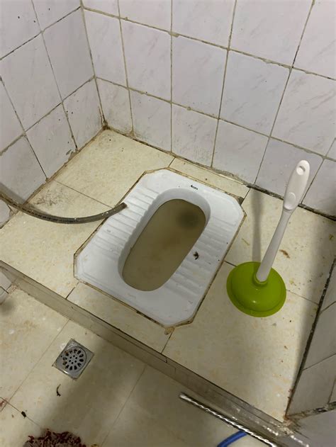 厕所疏通器怎么用的_精选问答_学堂_齐家网