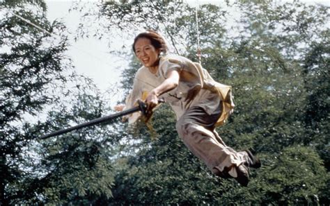 Crouching Tiger, Hidden Dragon (2000) Technical Specifications ...