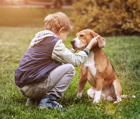 最好的朋友男孩和他的狗高清图片下载-正版图片503602020-摄图网
