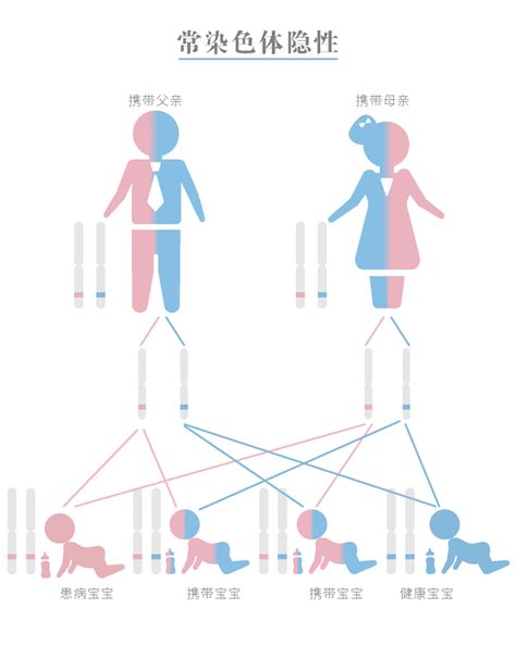 两种单基因病或性状的遗传规律- 生命经纬知识库