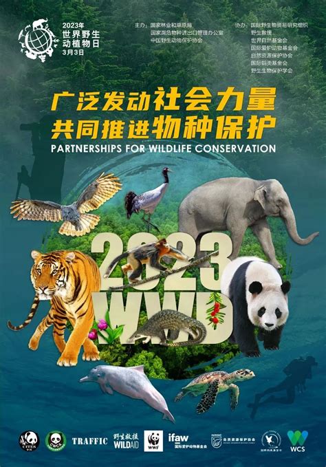 中国珍惜濒危野生动物保护-北京同传文化官网