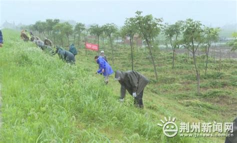 洪湖市燕窝镇显德家庭农场经营部（个体工商户） - 企查查