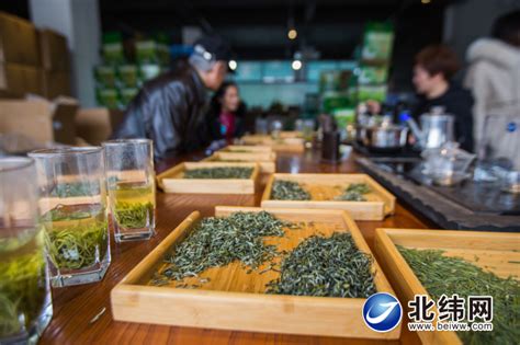 喜茶推出甄选茶园标准 打造供应链新模式把控茶叶品质_深圳新闻网