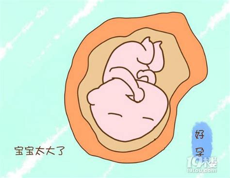 胎儿发育过程设计图__广告设计_广告设计_设计图库_昵图网nipic.com