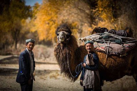 一名老外的新疆游记：人文边疆 多彩生活
