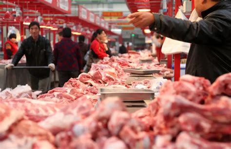 新发地猪肉批发大厅重开！禁止进口肉类冻品销售 - 国内 - 新闻频道 - 速豹新闻网