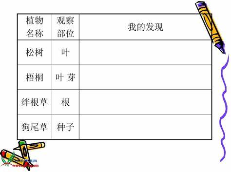 植物是怎样吸收肥料的