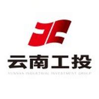 云南省工业投资控股集团有限责任公司 - 爱企查