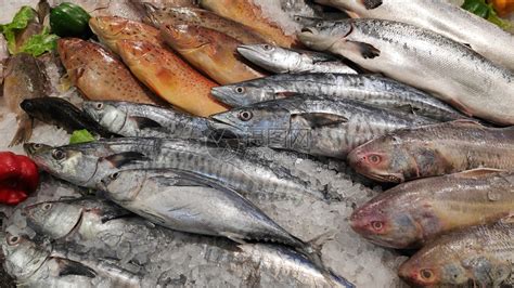鱼类市场高清图片下载-正版图片504718613-摄图网