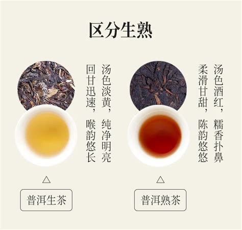 布朗生态熟茶|2020-润元昌普洱茶网