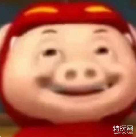 死猪表情包图片
