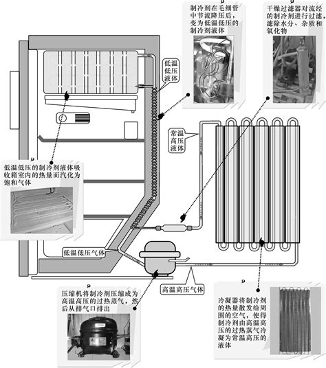 电冰箱主要部件与结构总结-快维全国电器维修服务中