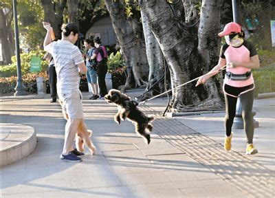 长沙一女子遛狗不牵绳当街怼路人“我家狗很乖从小就不牵绳”！_凤凰网视频_凤凰网