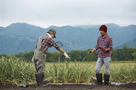 田间劳作的农民高清图片下载-正版图片502031703-摄图网