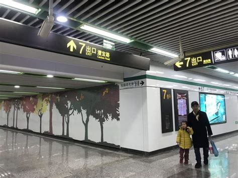 漕宝路地铁站里种出了一片“森林”？竟然直通市八医院 - 周到上海