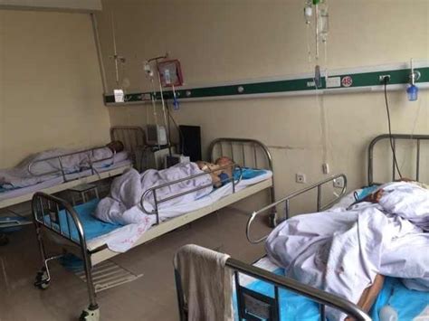 黑龙江4名老人遭割睾丸 7名干部被调查_手机新浪网