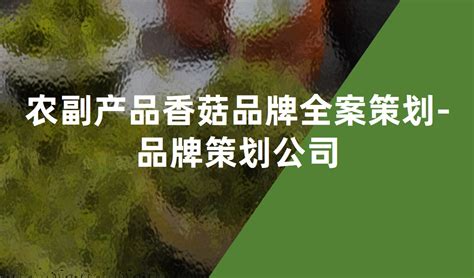 《2022中国农副产品行业研究报告》附下载|农副产品|玉米|疫情_新浪新闻