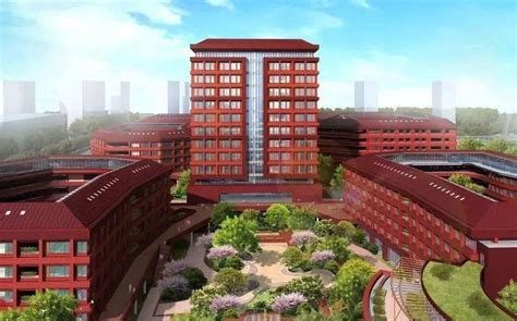 杭州市江城中学2023年报名条件、招生要求、招生对象