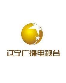 华麦Megamedia 辽宁广播电视台卫星频道