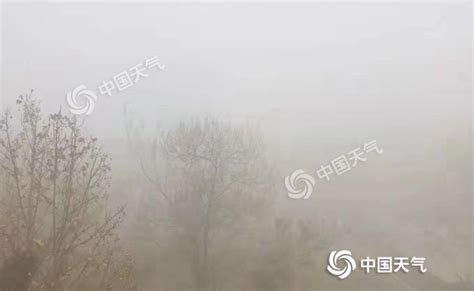 大雾红色预警！山东多地今天有强浓雾 明天冷空气来清场-天气新闻-中国天气网