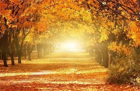 秋天用英语怎么读autumn，英语学习必备autumn的正确发音 - 零八资讯网