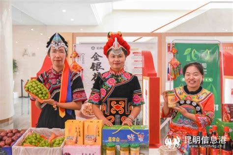 楚雄州举行2021旅游产品和招商项目昆明站宣传推介活动_昆明信息港
