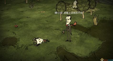 饥荒图片