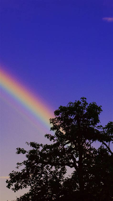 彩虹 风光 摄影壁纸_风景_太平洋科技