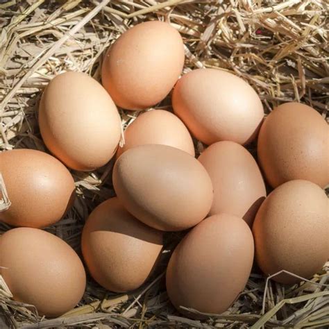 鸡蛋,鸭蛋,鹅蛋,饮食制作,食品餐饮,摄影素材,汇图网www.huitu.com