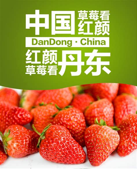 丹东草莓,东港草莓,2008草莓(第9页)_大山谷图库