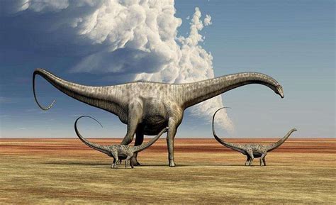 地球历史上的那些“大灭绝”：2.5亿年前96%物种死亡_手机新浪网