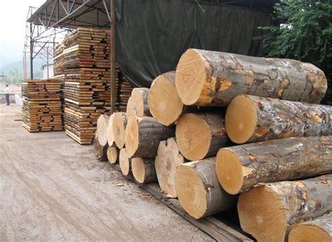 市场对木材产品需求依旧高涨，供应难以覆盖全部需求