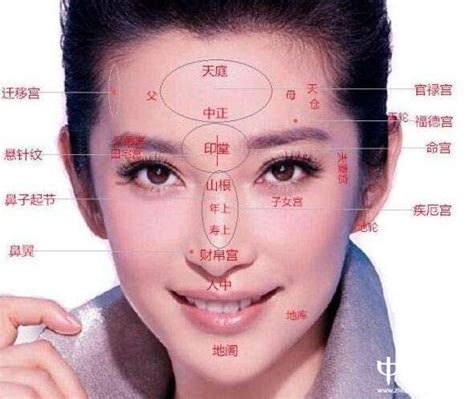 人脸部位名称图解图片 人脸部位名称图解图片