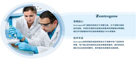 Zentrogene香港验血测性别准吗？-香港Zentrogene基因检测中心(香港大Z化验所)【官网】