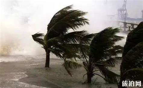 青岛：台风“摩羯”过境 海边掀起大浪引游客驻足观看