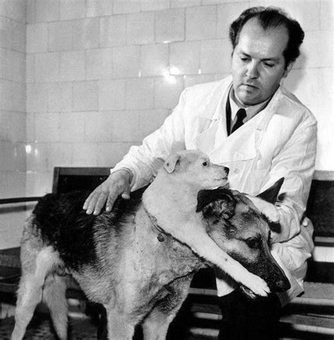 最残酷的实验：苏联制造20只双头狗，两个狗头各自吃喝活了29天