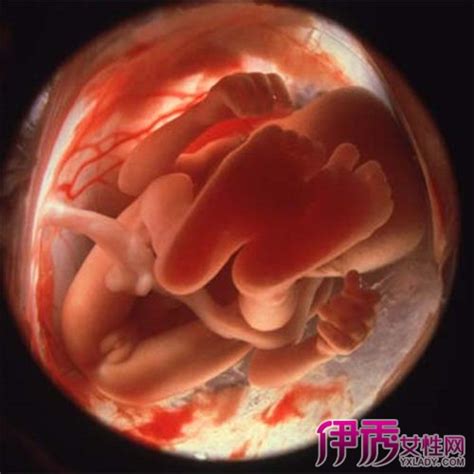 【胎儿多大可以做亲子鉴定】胎儿多大可以做亲子鉴定 胎儿亲子鉴定流程介绍_伊秀亲子|yxlady.com