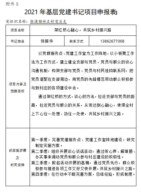 2021年基层党建书记项目申报表-林庄村-昆山市网上村委会