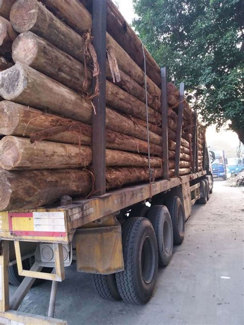北京哪里卖杉木,杉木价格-北京京南五环木材有限公司