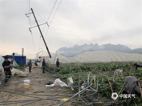 平果大风刮破农业大棚-广西高清图片-中国天气网