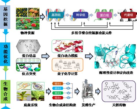 机器视觉在生物制药领域中的应用及解决方案_杭州国辰机器人科技有限公司