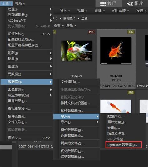 Adobe Bridge CS5中文破解版-图像处理与管理工具下载 附带安装教程 - 安下载